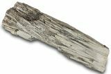 Petrified Wood Section with Sparkling Quartz - Arizona #305430-1